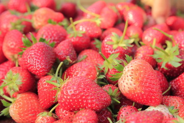 fruit strawberry red