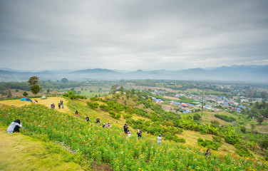 Natural view on the mountain at Yun Lai in Pai, Thailand.