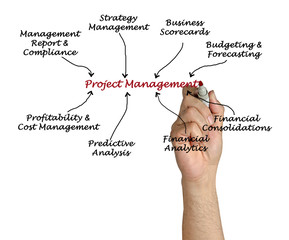 Obraz premium Project Management