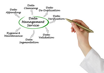 Data Management Service