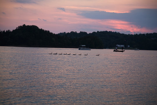 Sunset & Geese at Douglas Lake, TN