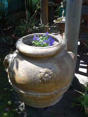 fiore