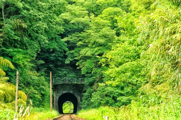 緑のトンネル.
