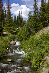 Obraz premium Running creek in the mountains