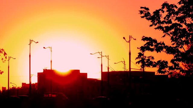 The sun sets on a background of contrasting shapes of urban buildings. Poplar fluff spinning in the air. Cars and buses go along the horizon.