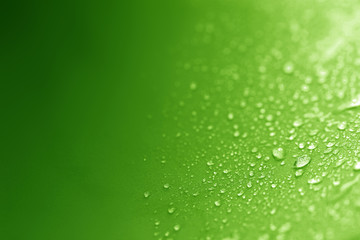 Close up the rain water drops on green sponge surface as abstrac