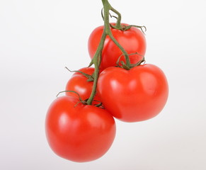 помидор крассный