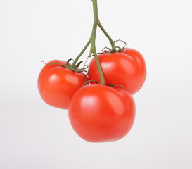 помидор крассный