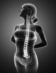Women Feeling the Back pain