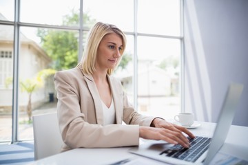 Businesswoman using laptop