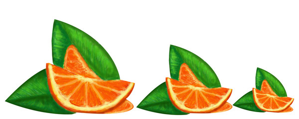 orange slices with leaves