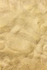 Exotic island sandy beach texture. Beach sand closeup for background