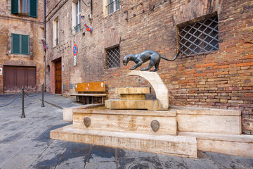 District of the panther in Siena,Toscana region, Italy.  © Neonyn
