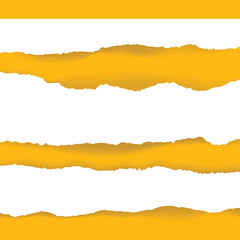 ripped paper and transparent background with space.