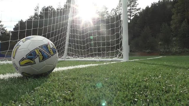 The ball stops in front of the goal