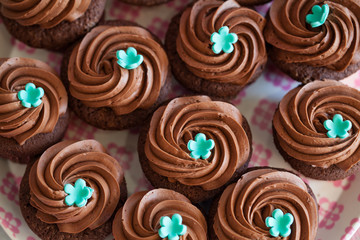 chocolate cupcake, set of cupcakes