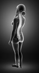 Women Feeling the Back pain