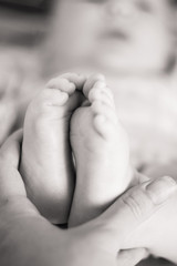 Baby feet in mother's hands. Close up