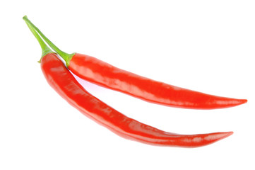 Chili peppers isolated