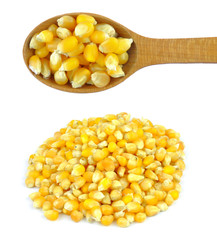 Corn grains isolated