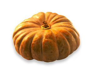Pumpkin on white background. Isolated tiny pumpkin.