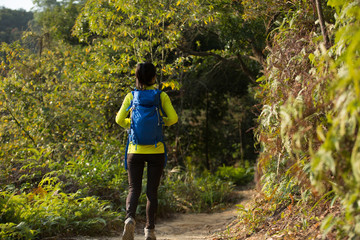 Fototapeta premium young woman hiker hiking on forest mountain