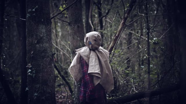 4K Horror Scarecrow with Sackcloth Mask in Forest