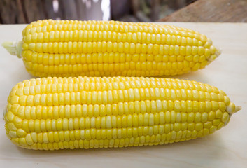 corn