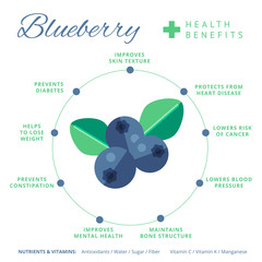 Blueberry health benefits and nutrition infographics. Superfood