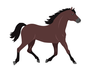 Obraz na płótnie Canvas Horse Vector Illustration in Flat Design