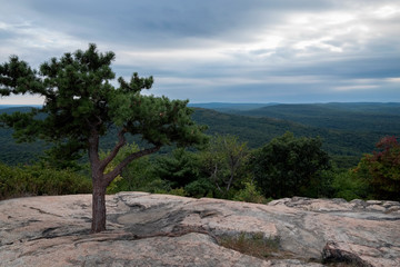 Fototapeta na wymiar View from Bear Mountain before sunset, New York, USA.