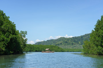 Floating bamboo raft with mangrove forest and blue sky background