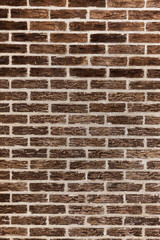 Fototapeta premium Ziegelwand