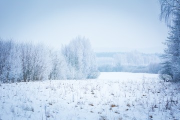 Polish winter landscape