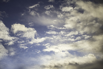 Clouds in sky