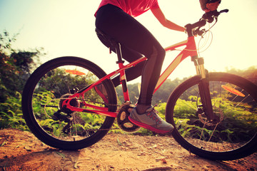 Fototapeta na wymiar one young woman cyclist riding mountain bike on forest trail