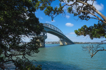 Obraz premium View to the Harbour Bridge from Northcote Point Auckland