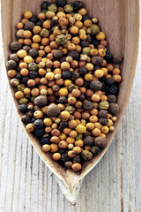 bunte Pfefferkörner in einer Kokusnussschale