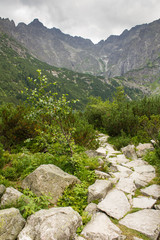 Górski szlak w Tatrach wyłożony kamieniami 