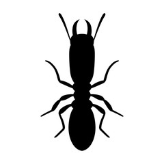 Termite