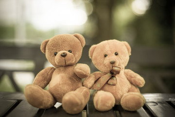 two bear dolls on the table with dramatic tone, select focus the one bigger