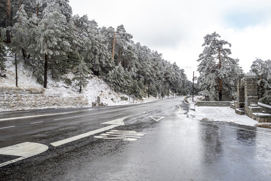Snowy landscape of Madrid (Navacerrada)