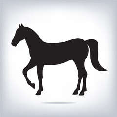 Vector image of an horse