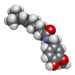 Capsaicin chili pepper molecule, 3D rendering. 