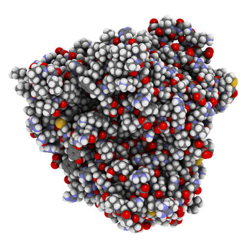 Cytochrome P450 (CYP2D6) Liver Enzyme In Complex With The Drug Quinine