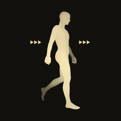 Walking Man. 3D Human Body Model. Design Element.
