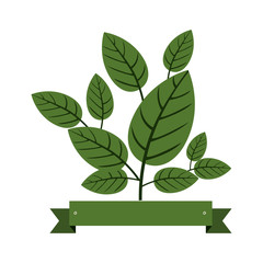 Natural leaves Ecology icon vector illustration graphic design