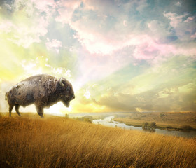 wild bison © Andrey Volokhatiuk