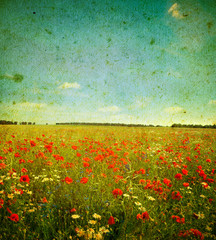 Naklejka premium grunge poppies landscape