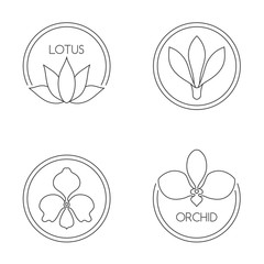 Set of flower logo on white background
